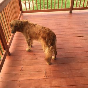 Meet your Posher, Jaycie